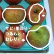 画像2: 2024年産 早生ふじ+トキ　クール便-包装不可 (2)